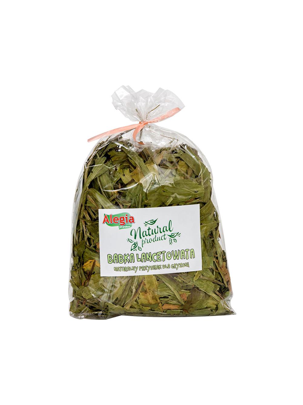 ALEGIA Babka Lancetowata 300g