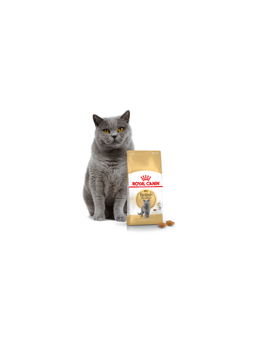 ROYAL CANIN British Shorthair 10kg karma sucha dla kotów dorosłych rasy brytyjski krótkowłosy + niespodzianka dla kota GRATIS!