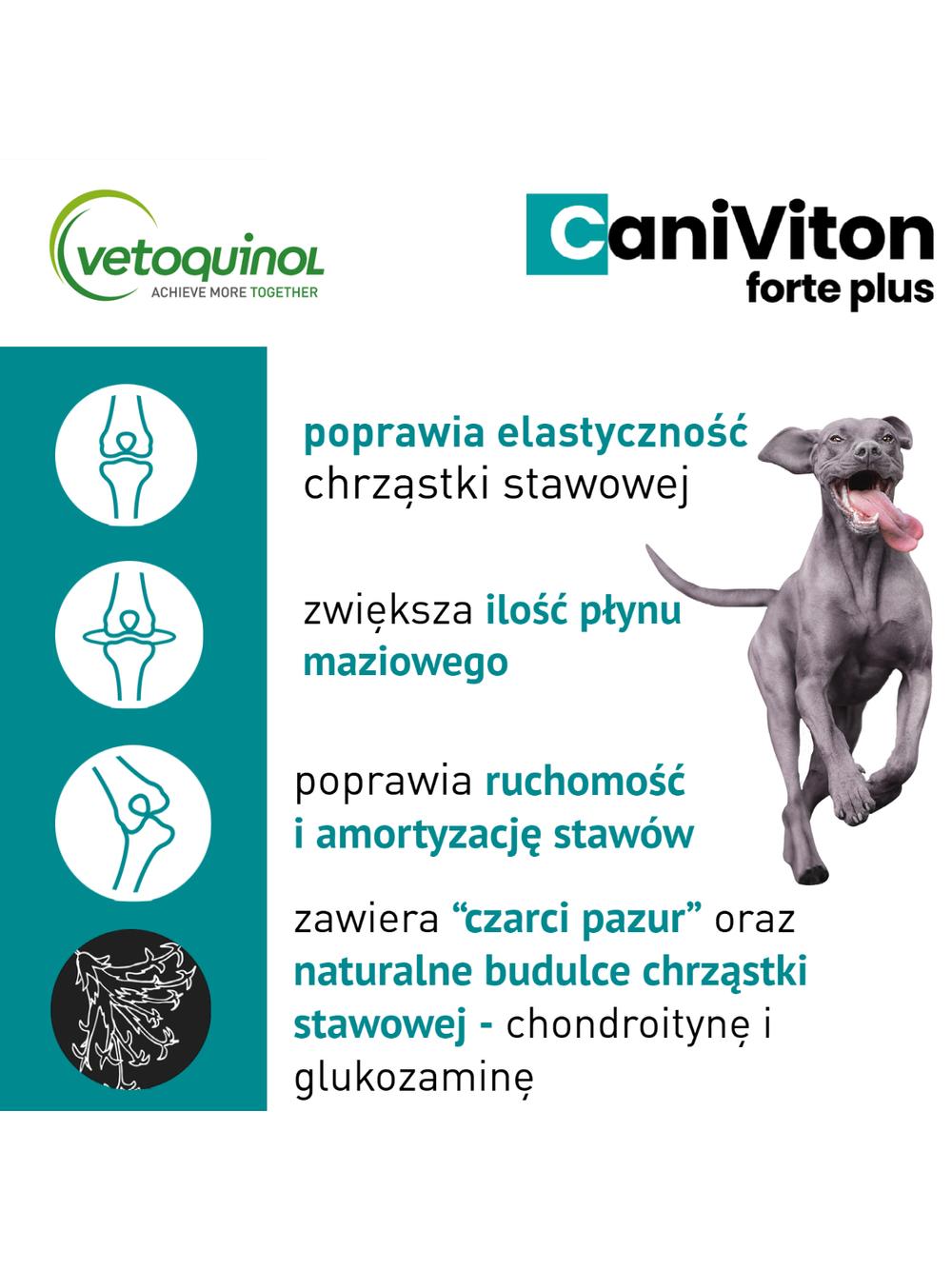 VETOQUINOL Caniviton Forte Plus - Karma Uzupełniająca Dla Psów 90tab