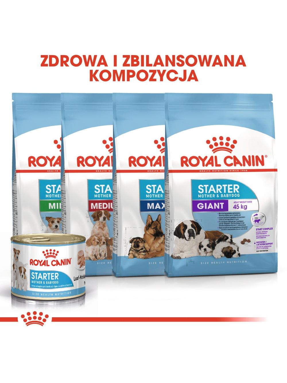 ROYAL CANIN Starter Mousse Mother & Babydog 6x195g karma mokra - mus, dla suk w czasie ciąży, laktacji oraz szczeniąt