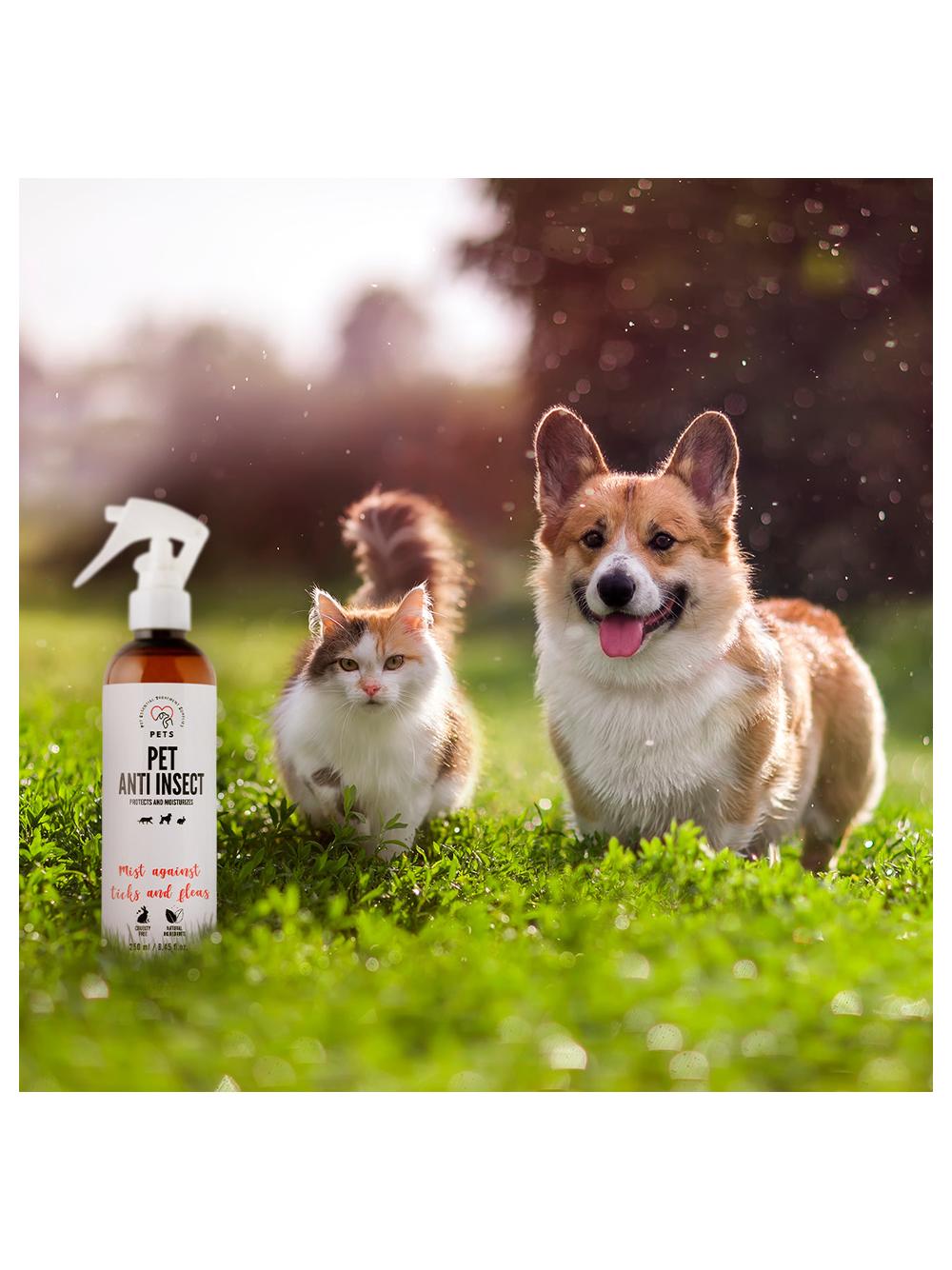 PETS ANTI INSECT - skuteczna ochrona przeciw kleszczom, pchłom oraz innym owadom 250ml