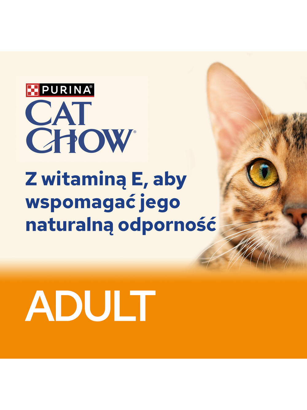 PURINA Cat Chow Adult Karma dla kotów z wołowiną i bakłażanem w galaretce 10x85g