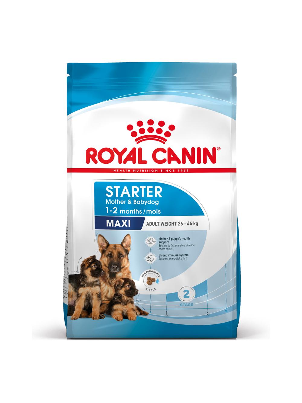 ROYAL CANIN Maxi Starter Mother&Babydog 15kg karma sucha dla suk w ciąży i okresie laktacji oraz szczeniąt, od 4 do 8 tygodnia życia, ras dużych