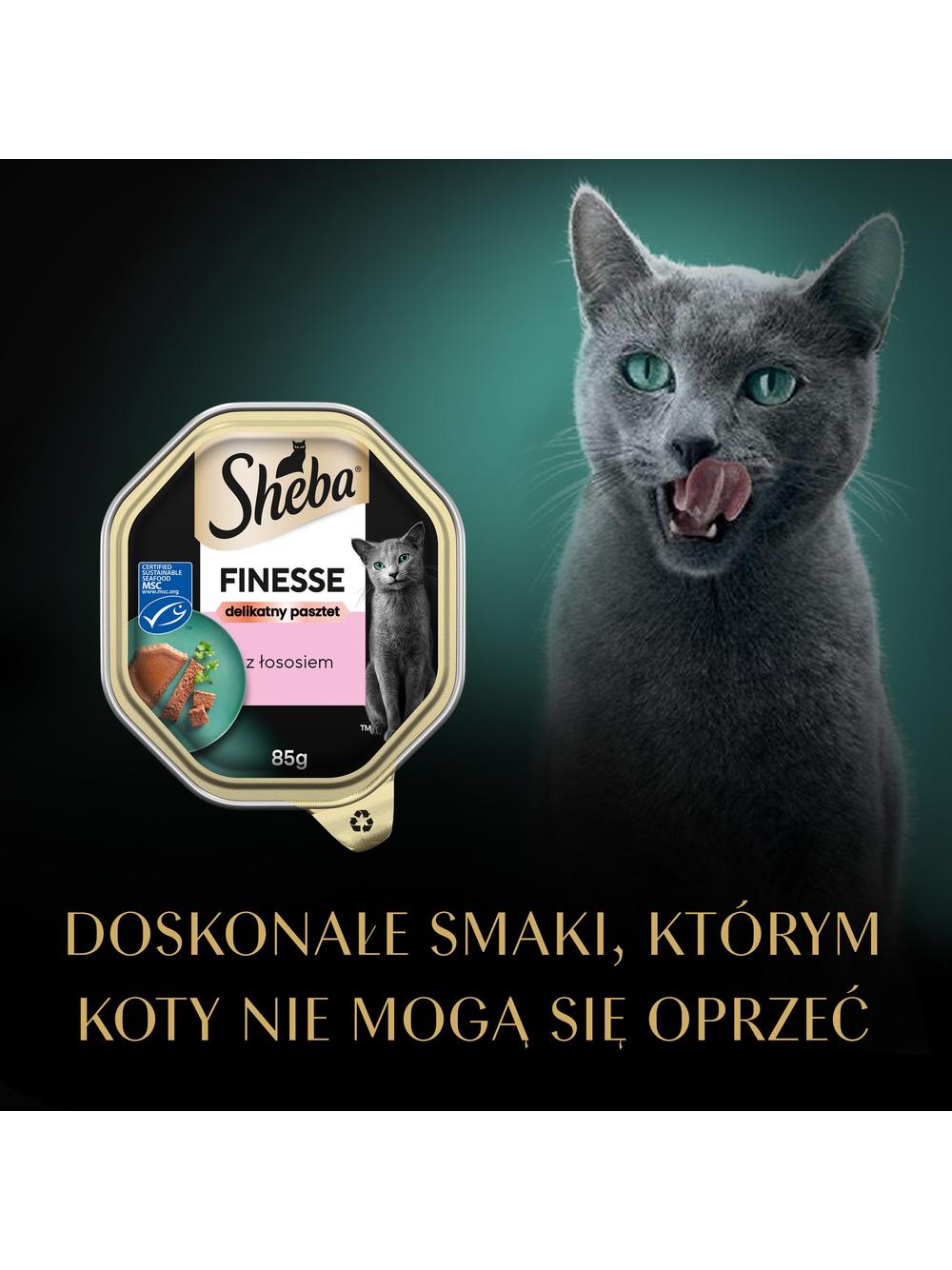 SHEBA Finesse tacka 85 g – mokra karma pełnoporcjowa dla dorosłych kotów, z łososiem, w pasztecie