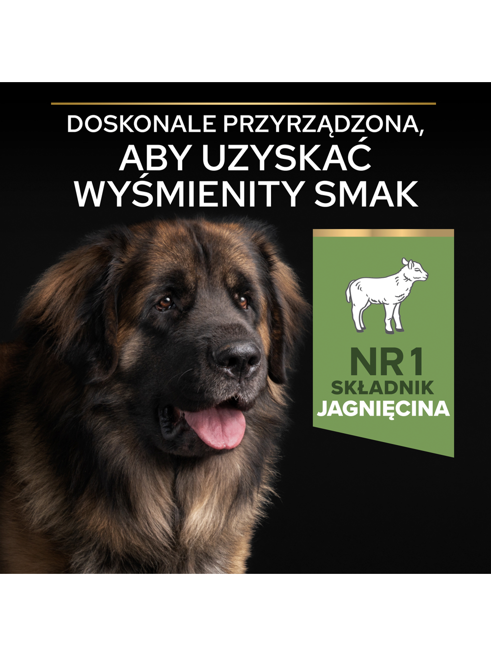 PRO PLAN Sensitive Digestion Large Robust Adult Karma dla psów bogata w jagnięcinę 14kg