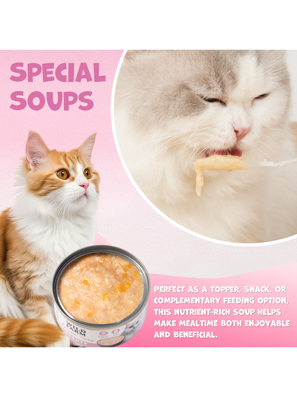 WILD FARM Special Soup 80g Beauty – aromatyczna zupka - wsparcie prawidłowego nawodnienia
