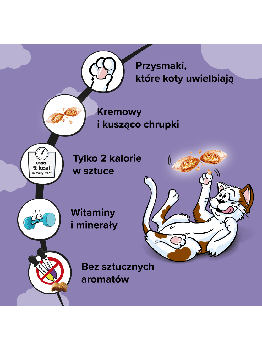DREAMIES 12x60g - przysmak dla kota Mix Smaków