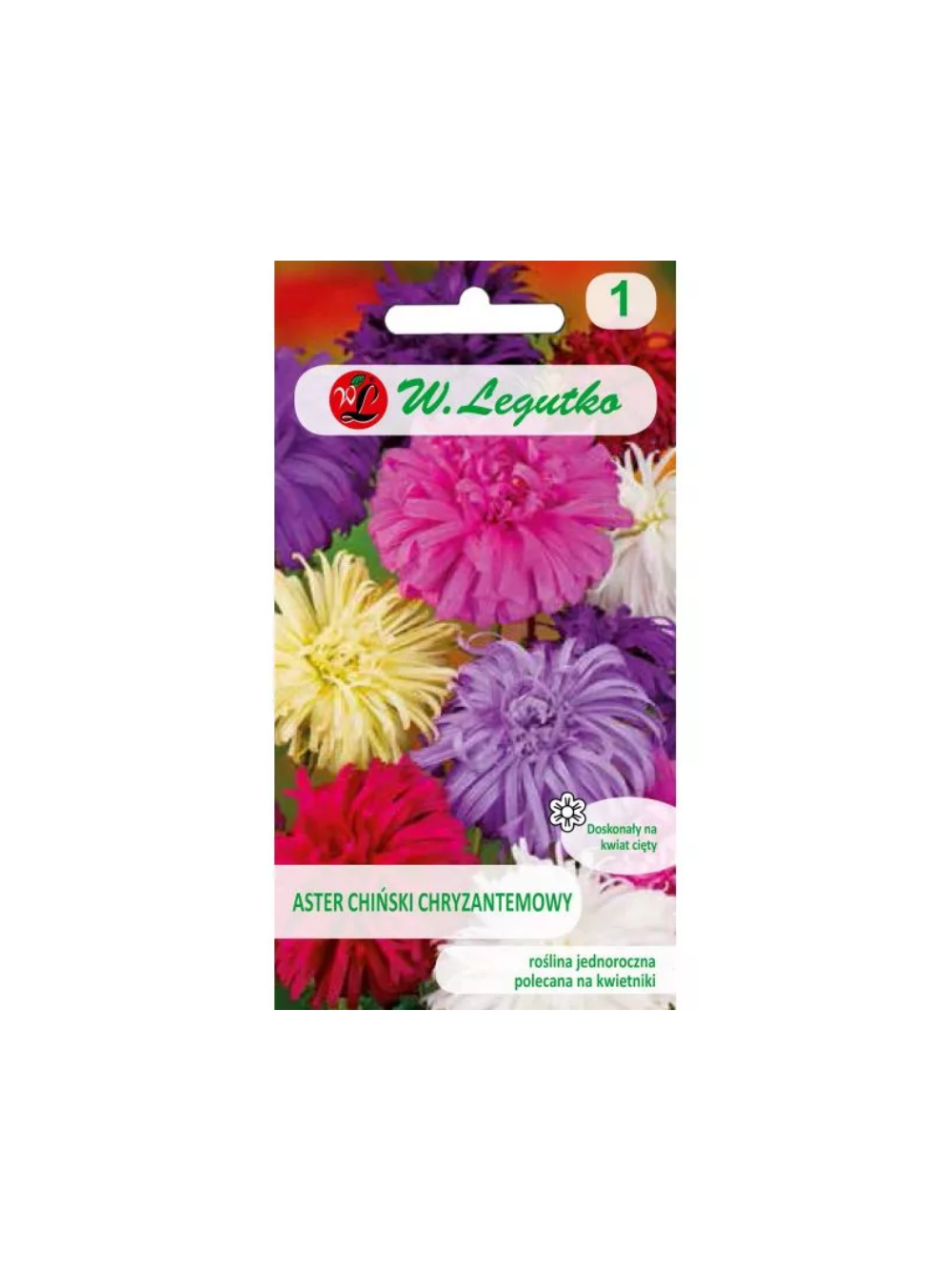 Aster chiński chryzantemowy mieszanka