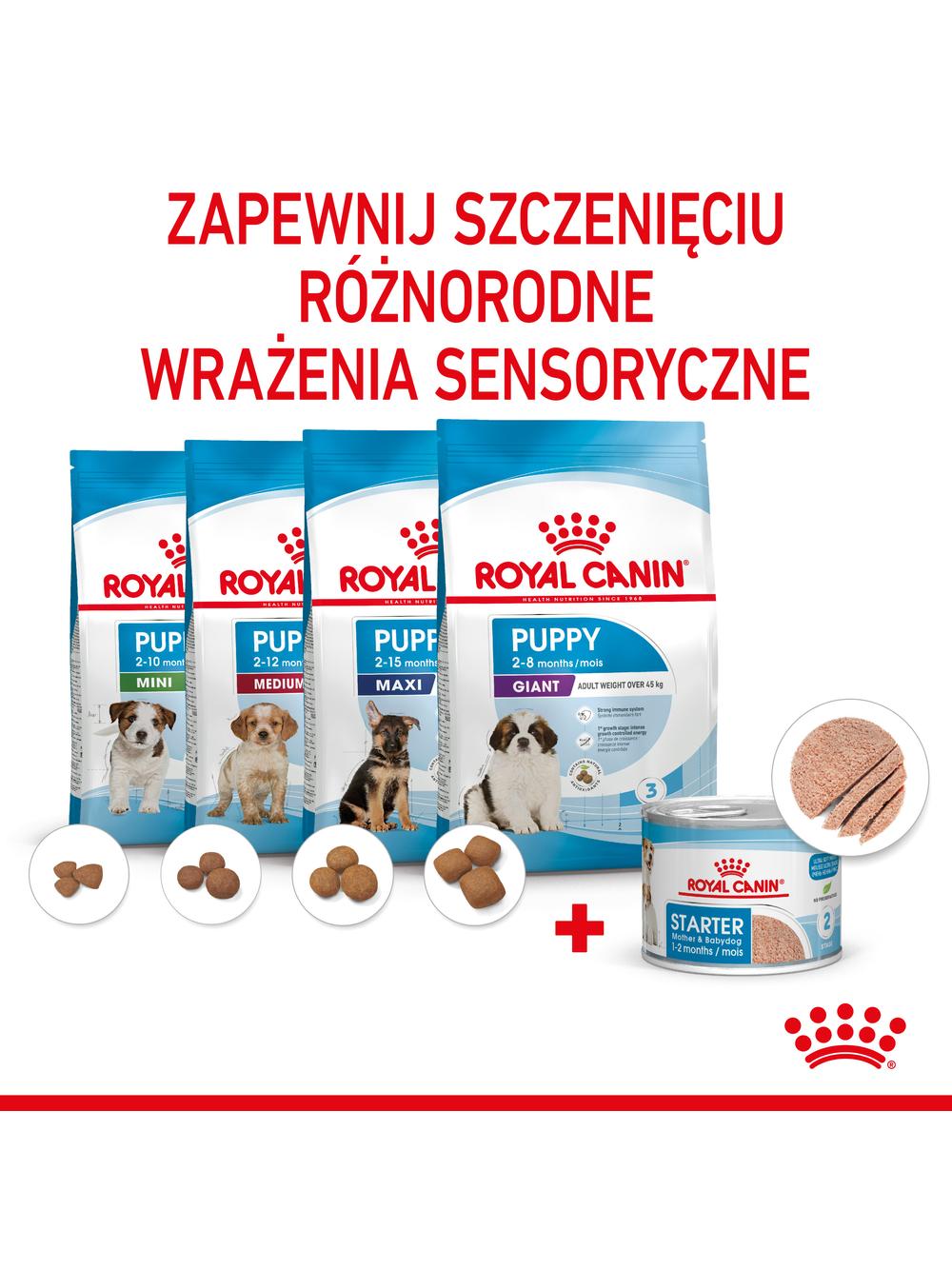 ROYAL CANIN Starter Mousse Mother & Babydog 12x195g karma mokra - mus, dla suk w czasie ciąży, laktacji oraz szczeniąt