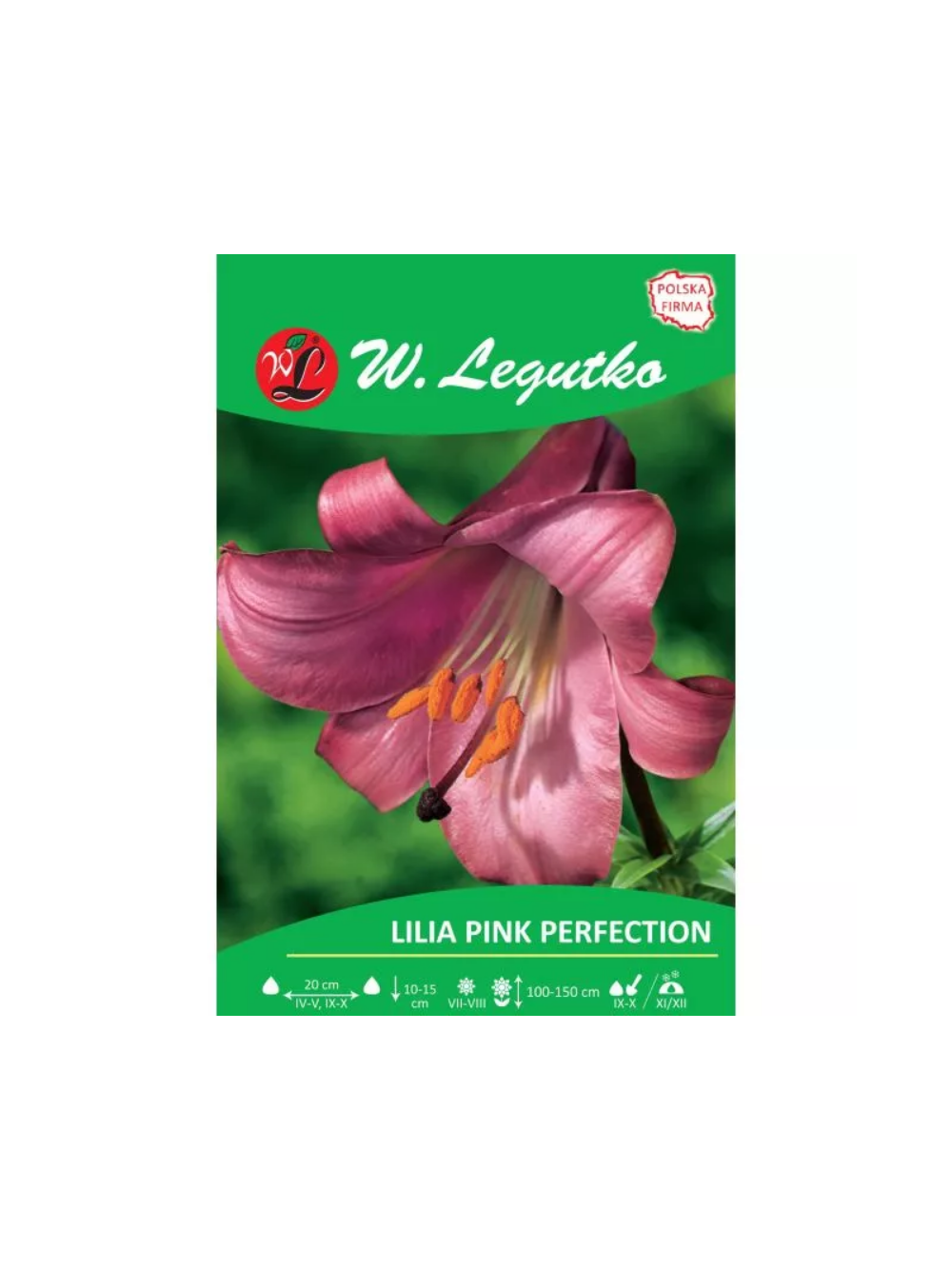 Lilia Pink Perfection różowa 1szt.