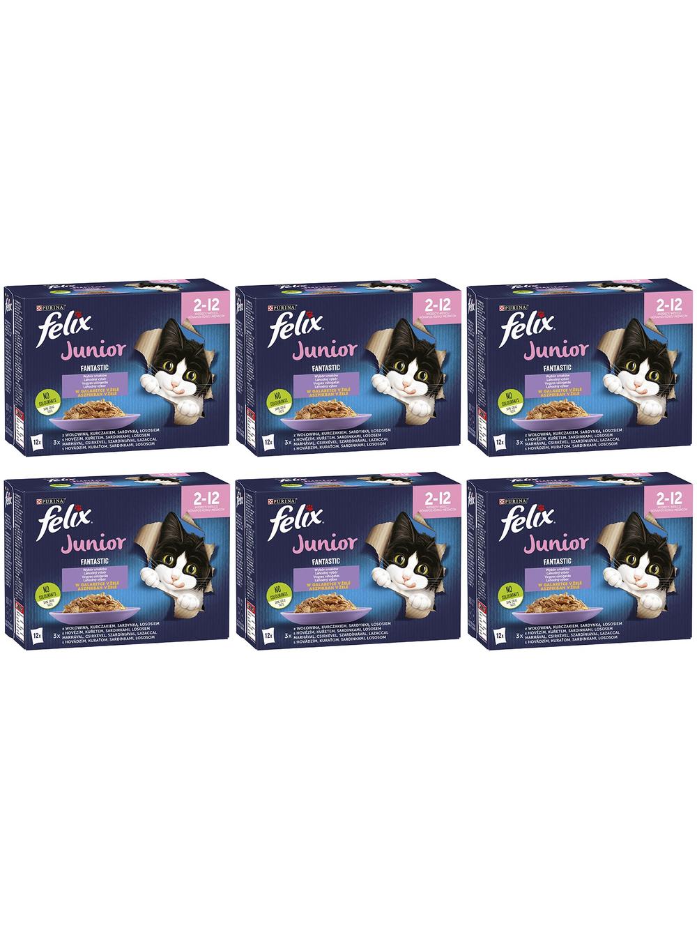 FELIX Fantastic Junior w galaretce; 72x85g