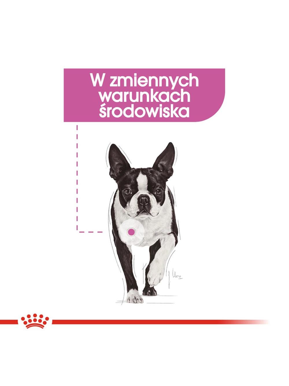 ROYAL CANIN CCN Mini Relax Care 8kg + niespodzianka dla psa GRATIS!