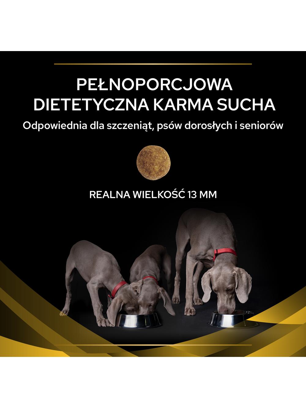 PRO PLAN JM Joint Mobility Karma sucha dla psa 12kg