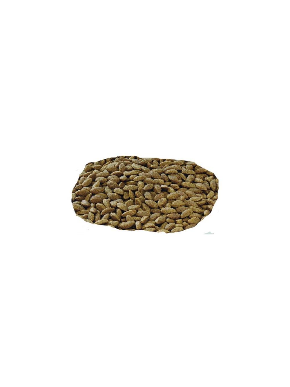 Purina Pro Plan Medium & Large 7+ Sensitive Optiderma, łosoś i ryż 14kg  + niespodzianka dla psa GRATIS!