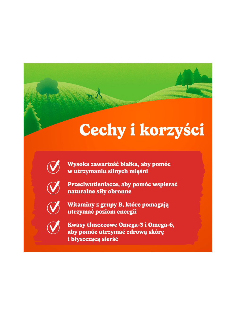 Friskies Picnic dla dorosłych psów z wołowiną 3x42g (5 sztuk)
