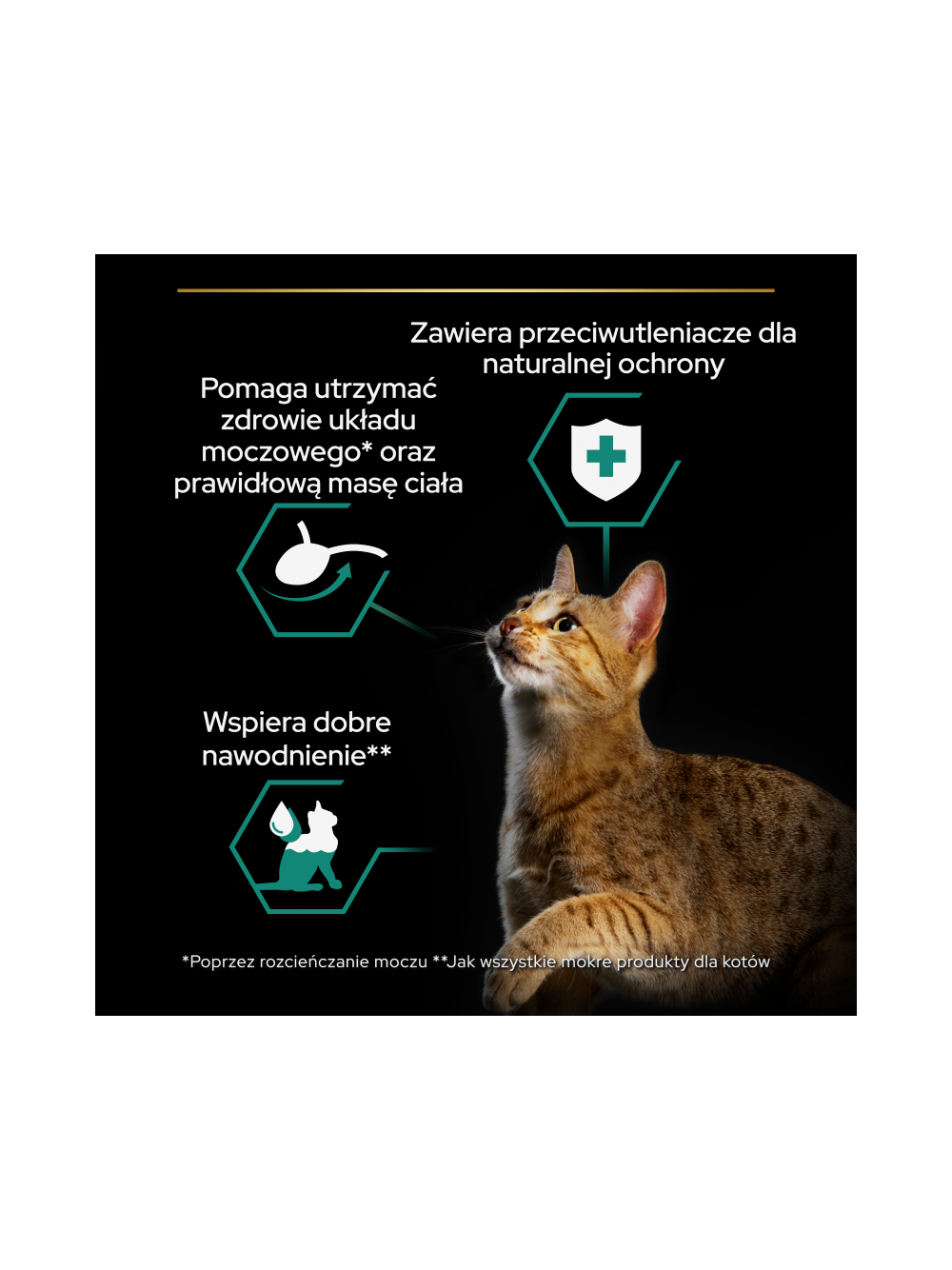 PRO PLAN Sterilised Mokra karma dla kotów wysterylizowanych z wołowiną i kurczakiem w sosie 10x85g