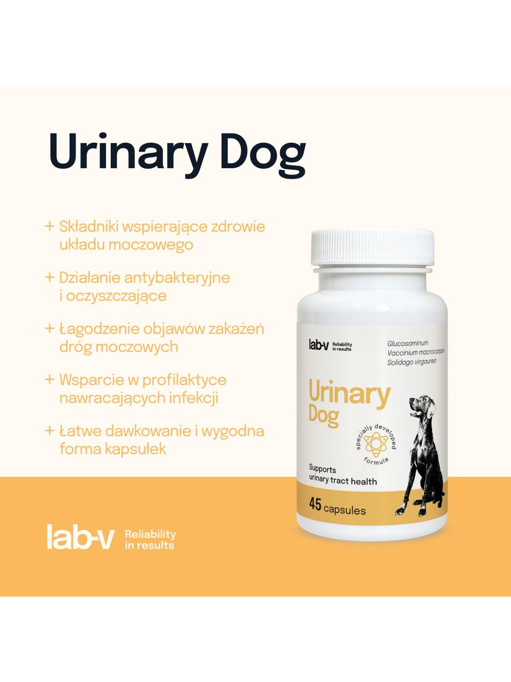 Lab-v Urinary Dog – Wsparcie przy zakażeniu dróg moczowych u psów 45 kapsułek