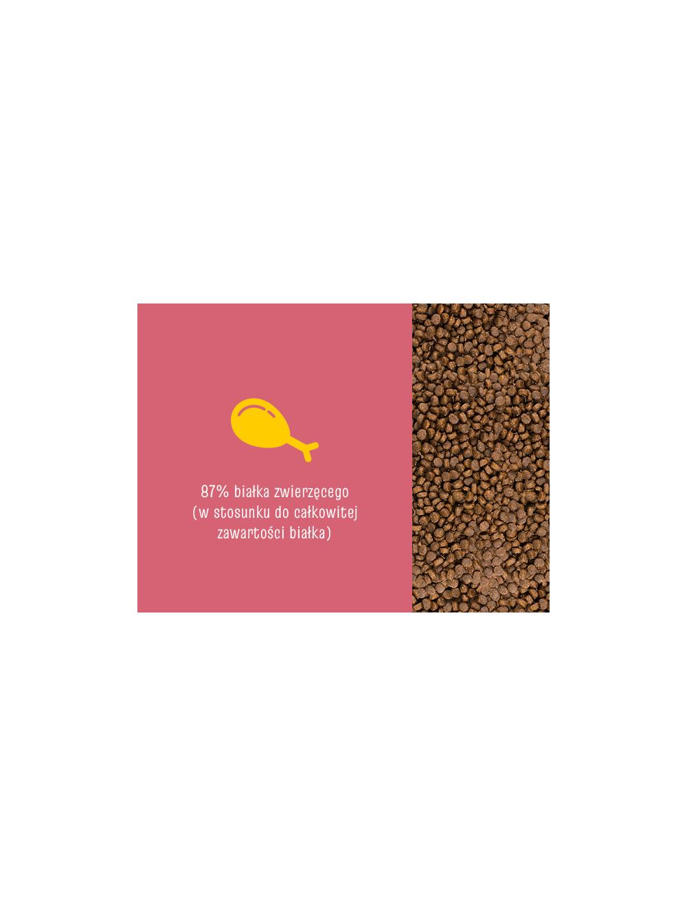 JOSERA JosiCat Kitten 10kg + NIESPODZIANKA DLA KOTA GRATIS!