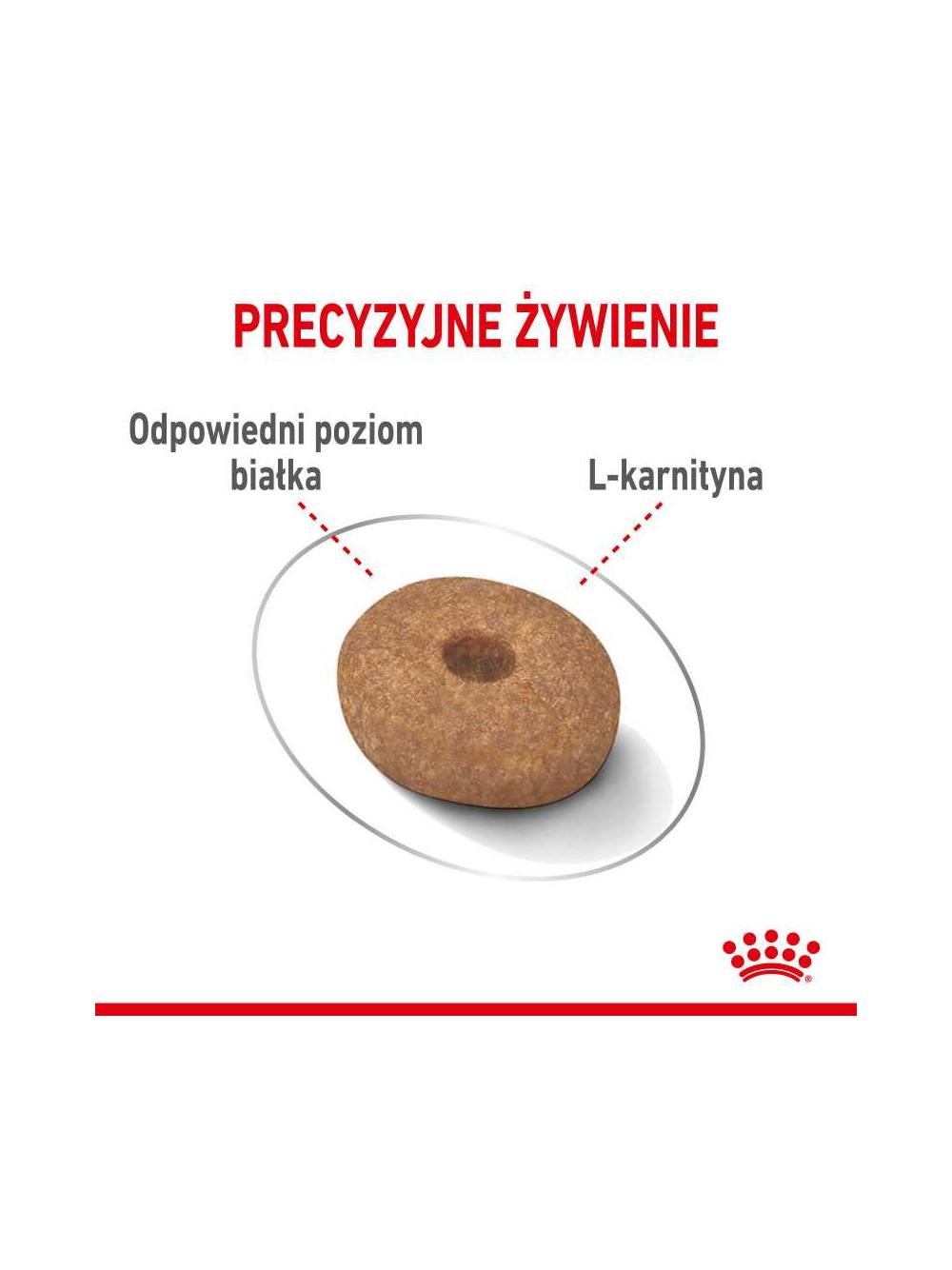 ROYAL CANIN CCN Mini Light Weight Care 8kg karma sucha dla psów dorosłych, ras małych z tendencją do nadwagi