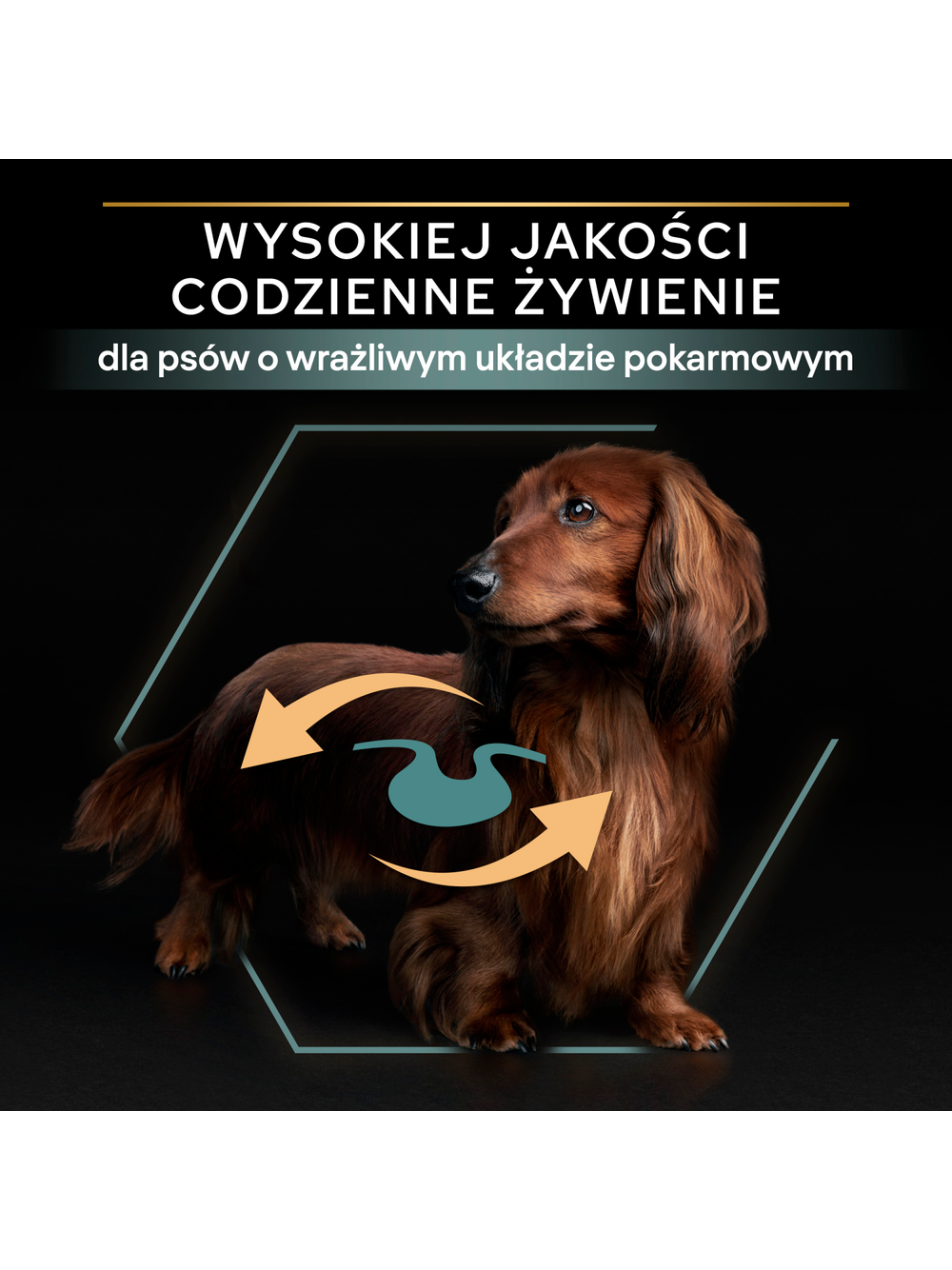 PRO PLAN Sensitive Digestion Small & Mini Karma dla psów bogata w jagnięcinę 7kg+ + niespodzianka dla psa GRATIS!