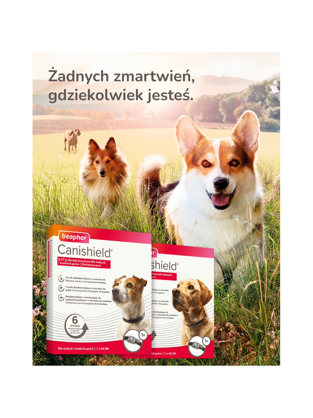BEAPHAR CANISHIELD OBROZA S/M 48cm - obroża z deltametryną