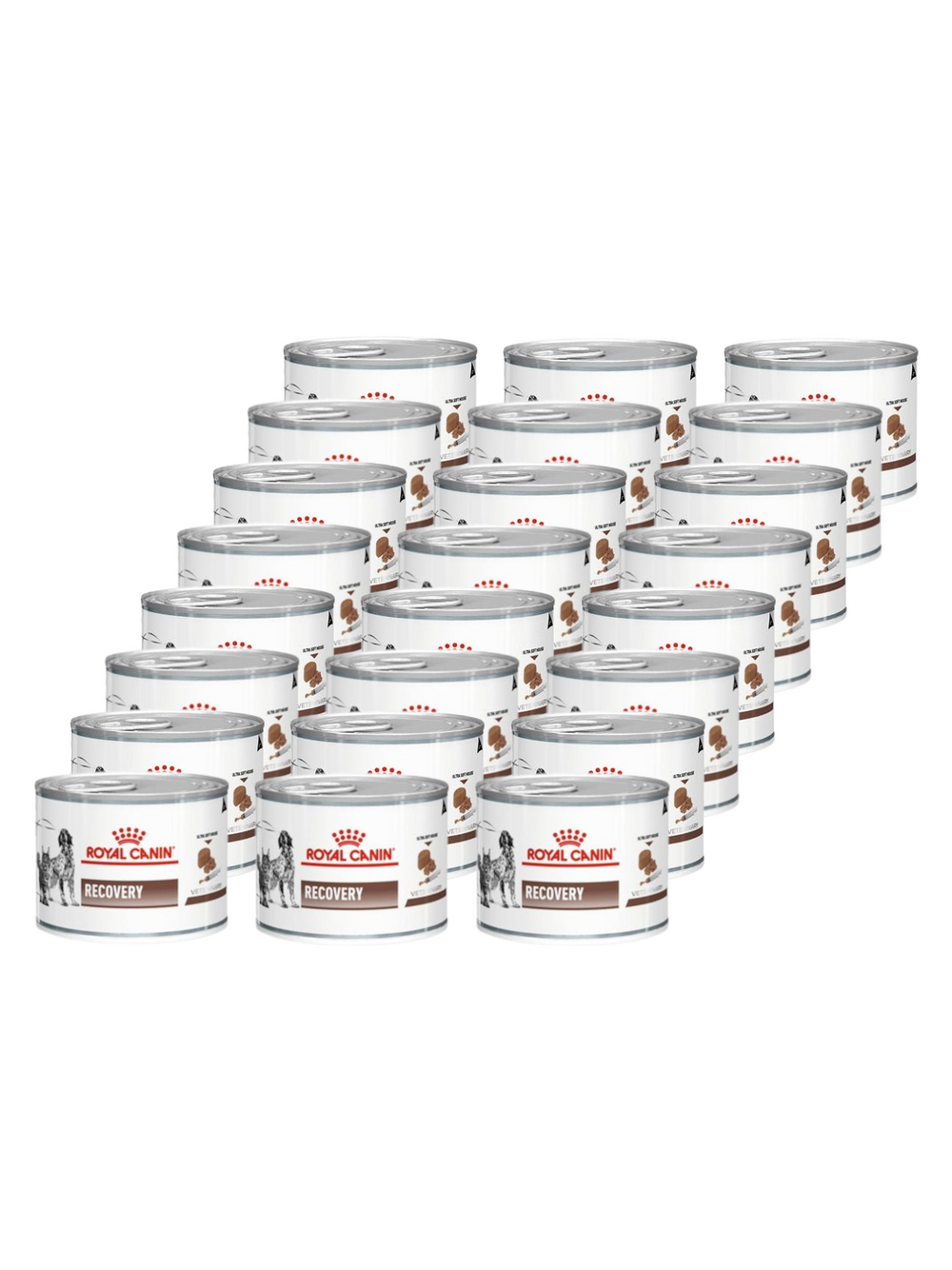 ROYAL CANIN Recovery 24x195g puszka