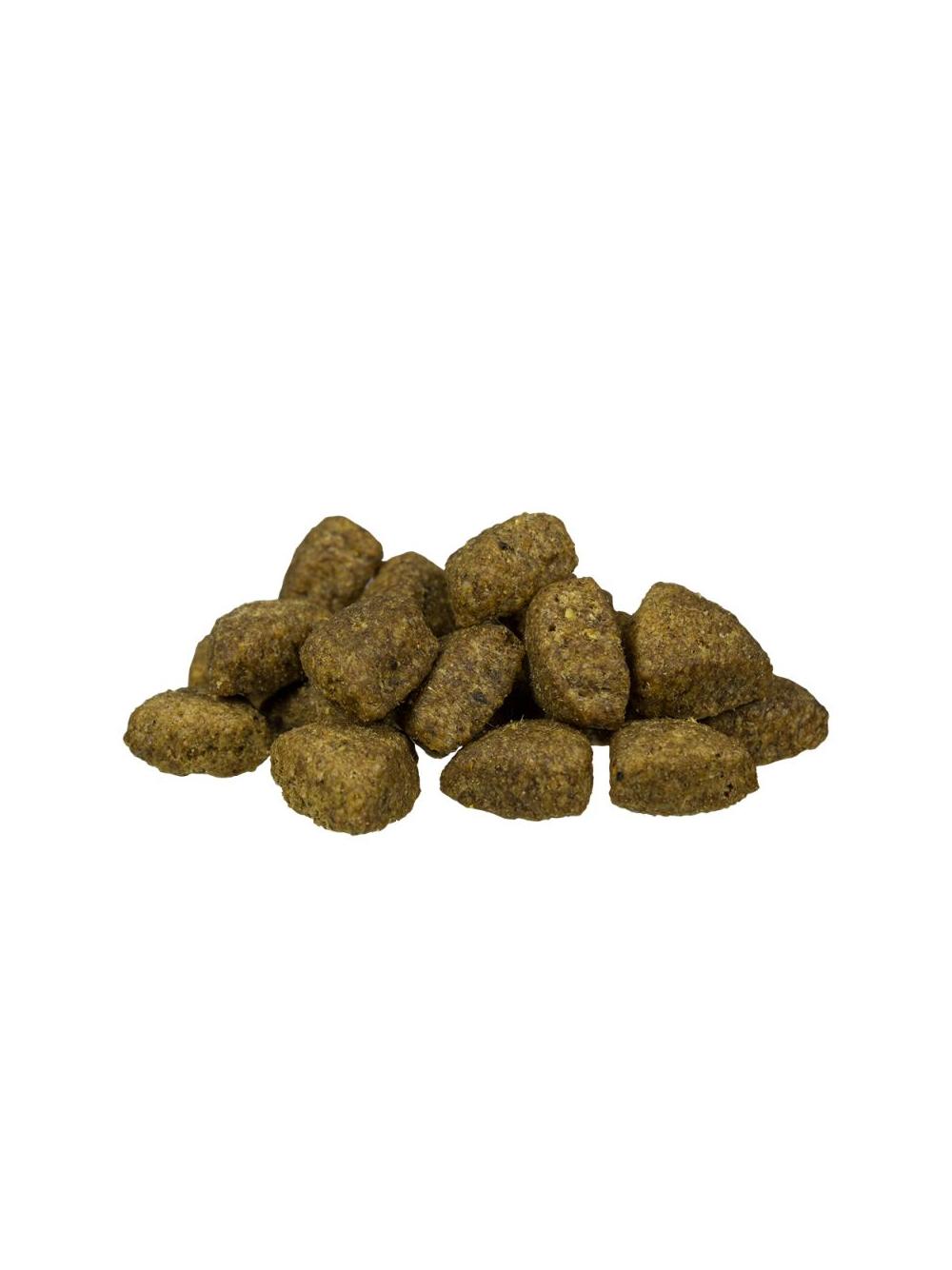 Bosch Adult Lamb & Rice, jagnięcina i ryż (nowa receptura) 15kg + NIESPODZIANKA DLA PSA GRATIS!