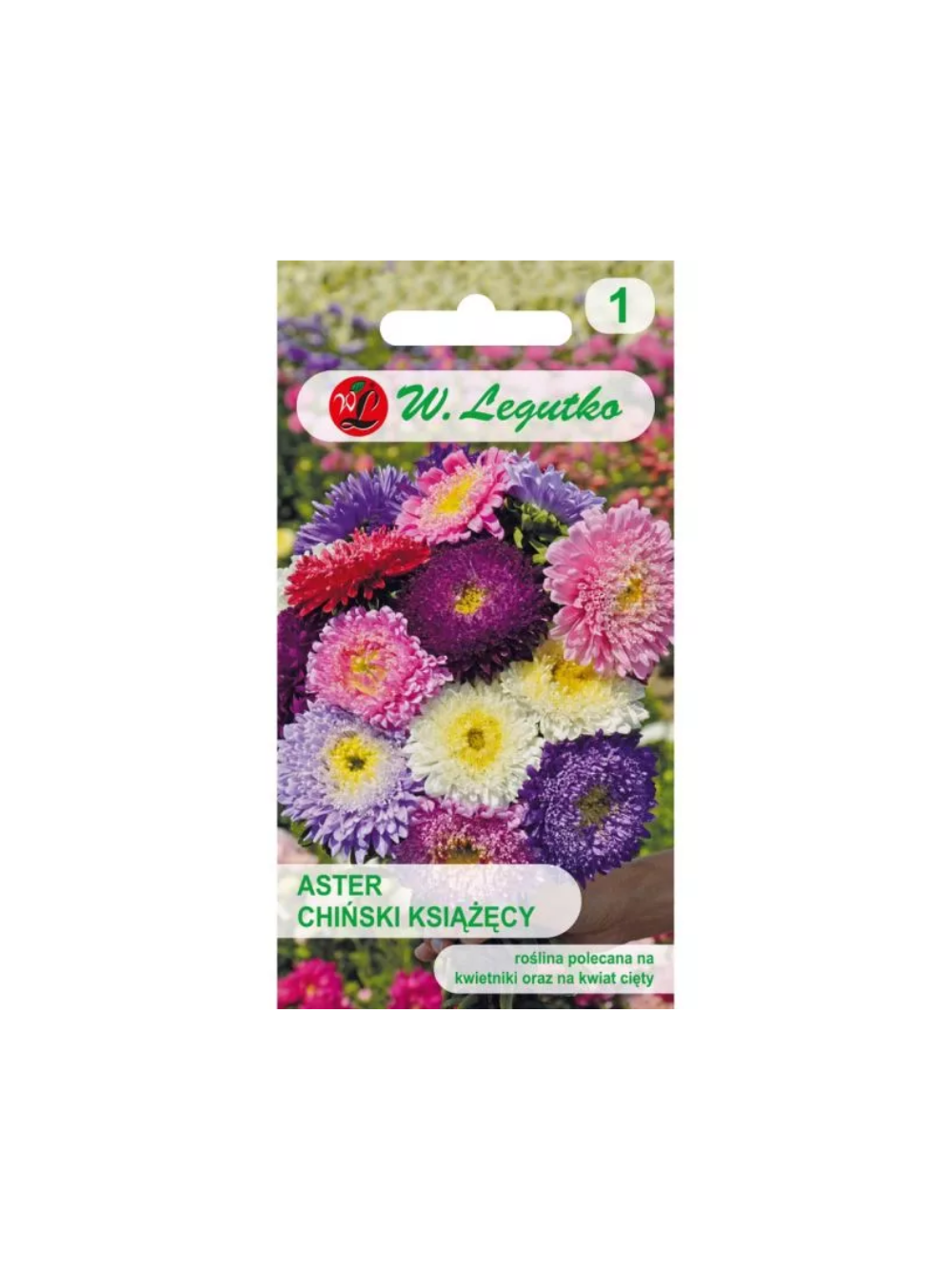 Aster chiński książęcy mieszankaAster chiński książęcy mieszanka