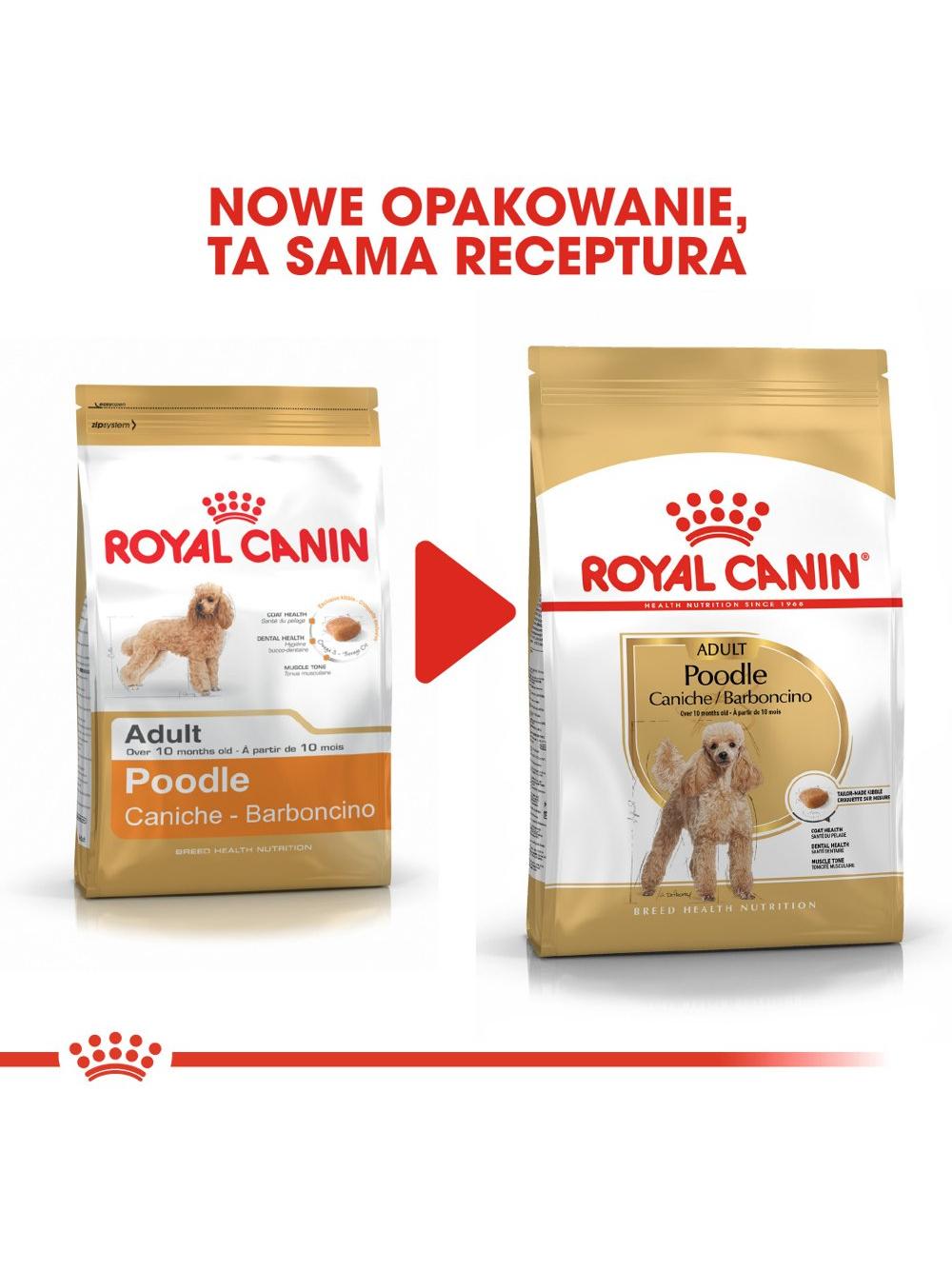 ROYAL CANIN Poodle Adult 1,5kg karma sucha dla psów dorosłych rasy pudel miniaturowy/ opakowanie uszkodzone (7157)!!!!