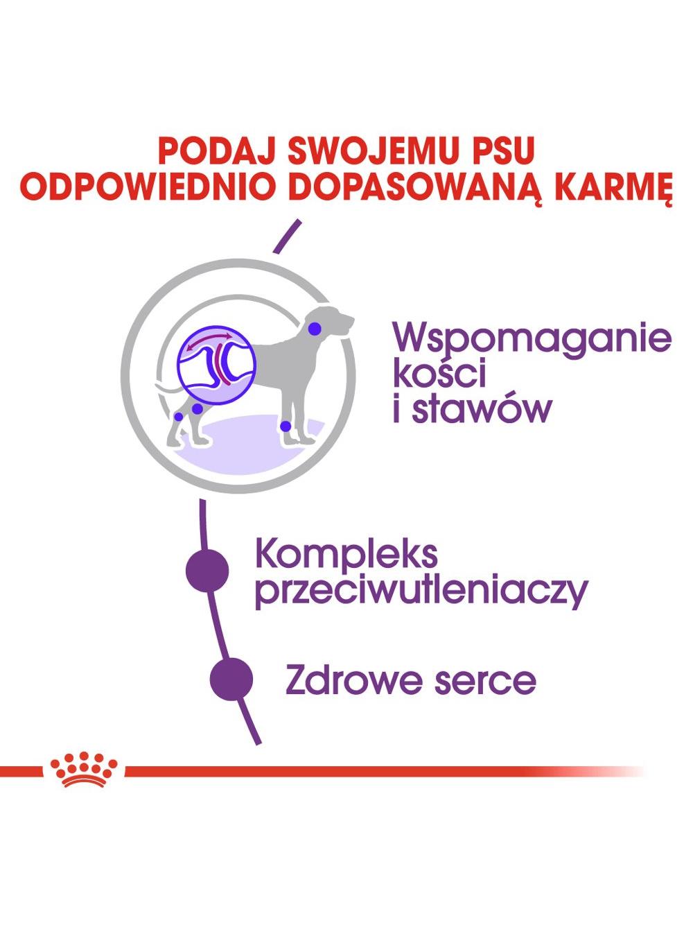 ROYAL CANIN Giant Adult 15kg karma sucha dla psów dorosłych, od 18/24 miesiąca życia, ras olbrzymich +  niespodzianka dla psa GRATIS!