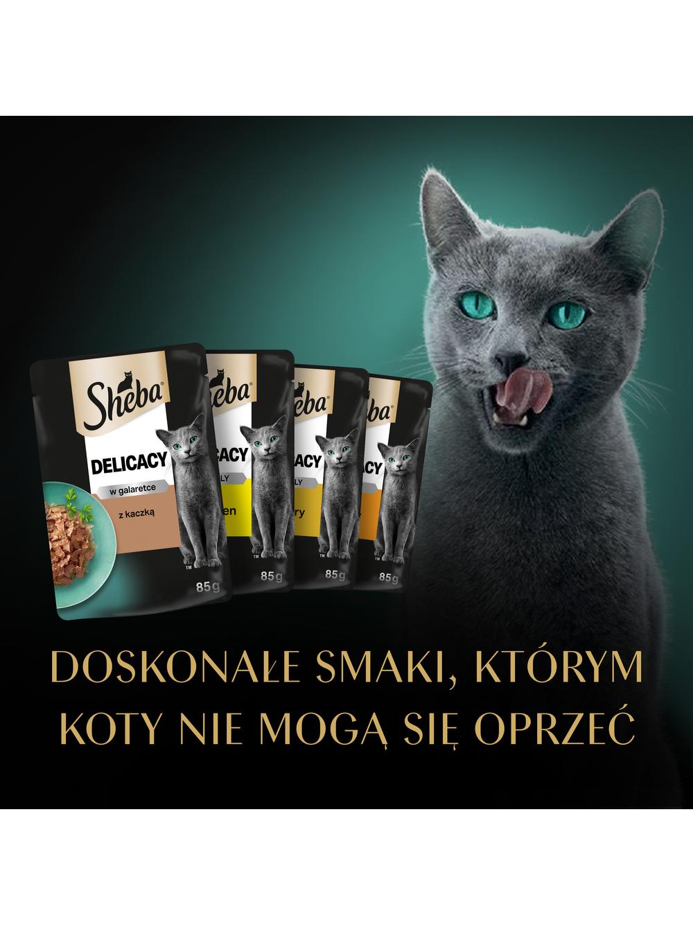 SHEBA Delicacy Drobiowe Smaki saszetki 12x85 g – mokra karma pełnoporcjowa dla dorosłych kotów, w galaretce (kawałki z: kaczką, kurczakiem, drobiem, indykiem)