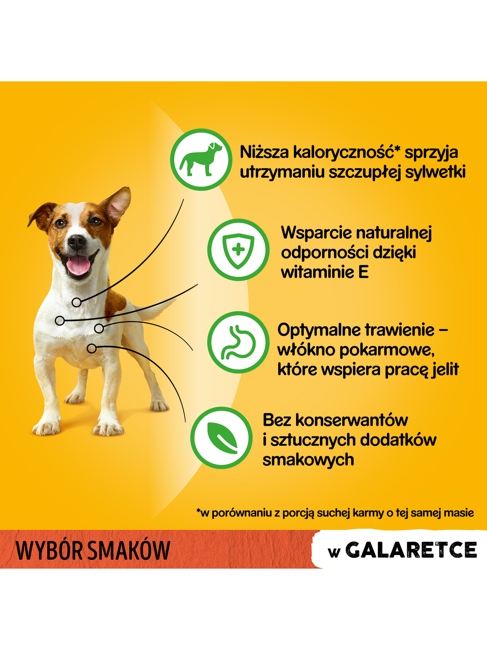 PEDIGREE Adult saszetka 12x100 g - Wybór Smaków w Galaretce, mokra karma pełnoporcjowa w galaretce dla dorosłych psów (kawałki bogate w mieszankę wołowiny i wątróbki, bogate w kurczaka, bogate w mieszankę jagnięciny i wątróbki oraz bogate w drób)