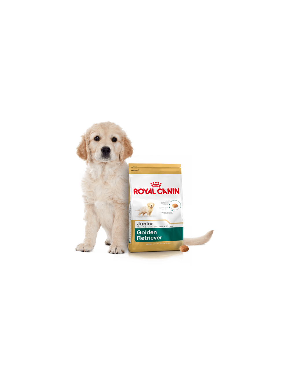ROYAL CANIN Golden Retriever Puppy 12kg +  niespodzianka dla psa GRATIS!