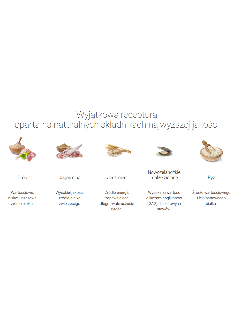 JOSERA Adult Optiness 12,5kg + NIESPODZIANKA DLA PSA GRATIS!