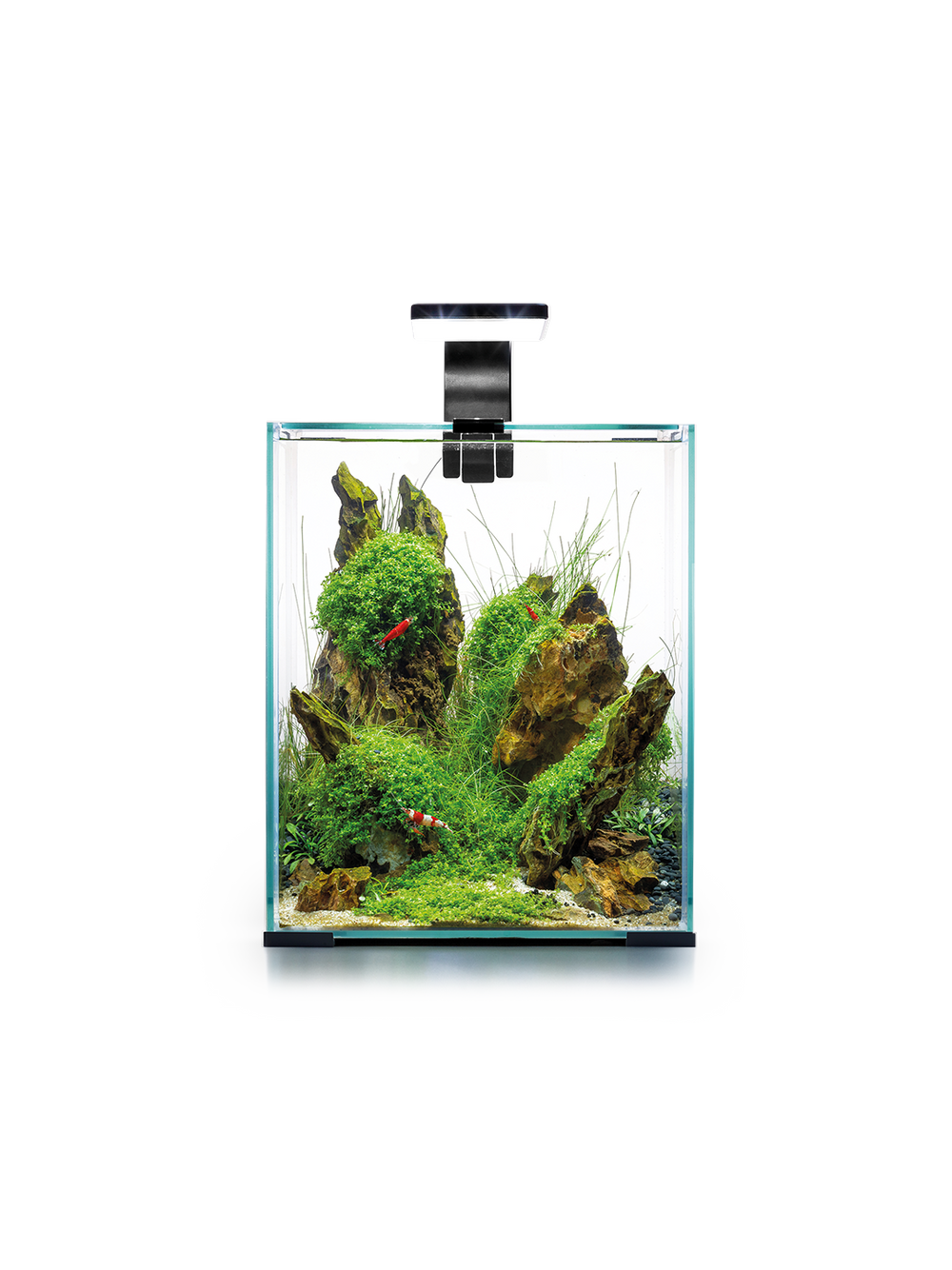 AQUAEL Zestaw Aquael Shrimp Set Smart Day & Night [20l] - czarny