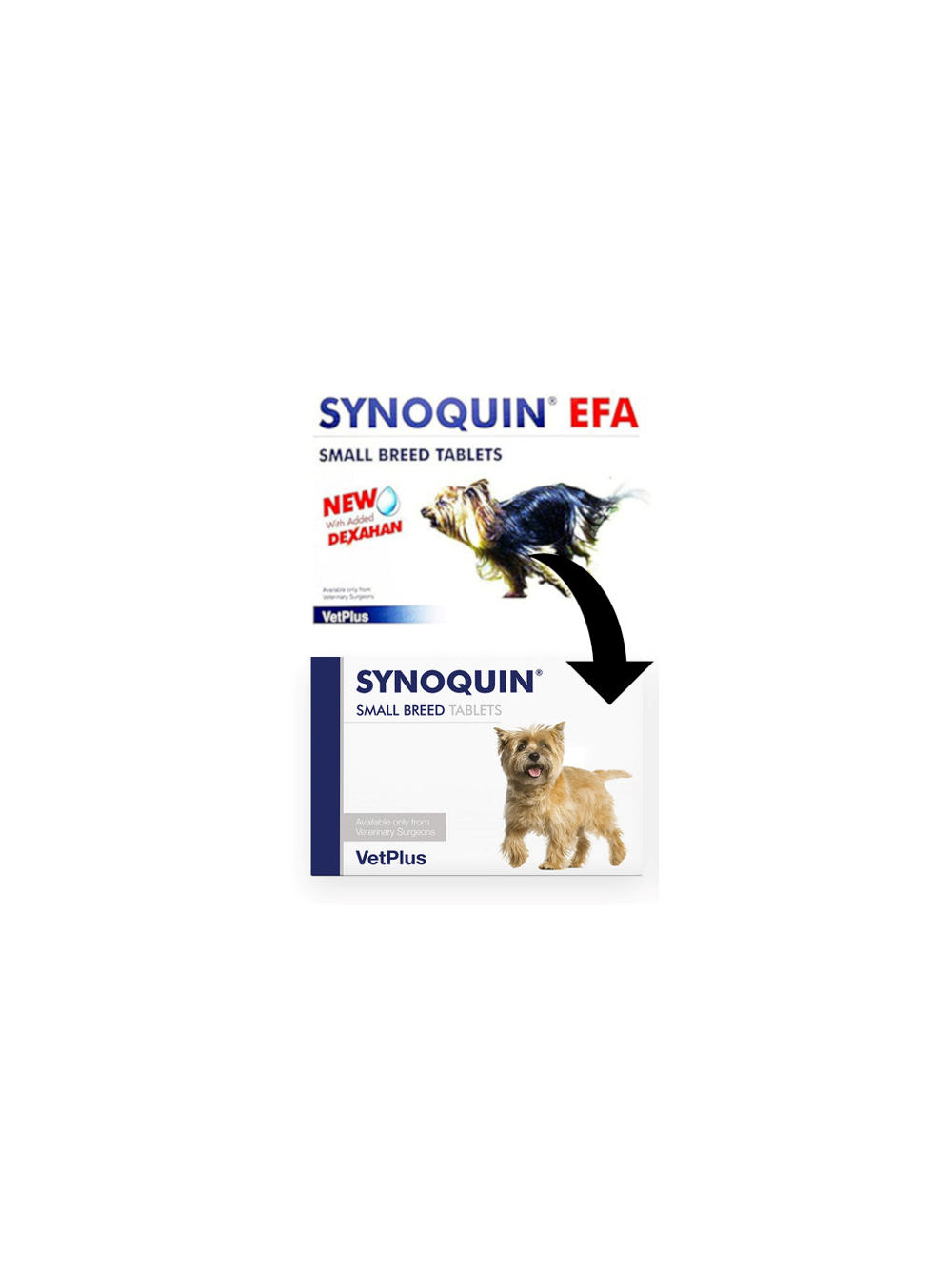 VetPlus SYNOQUIN EFA małe rasy 30 tabletek