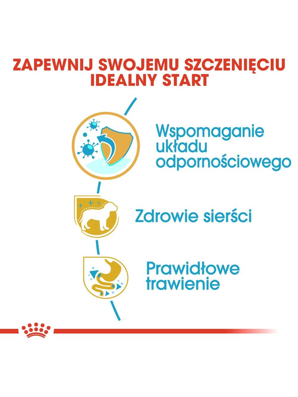 ROYAL CANIN Yorkshire Terrier Puppy 500g karma sucha dla szczeniąt do 10 miesiąca, rasy yorkshire terrier