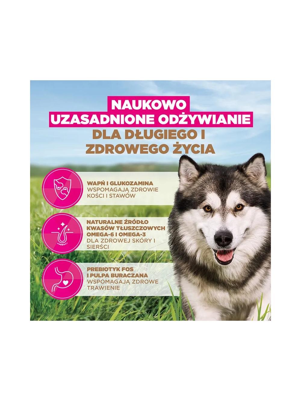 EUKANUBA Adult Large Grain Free 12kg