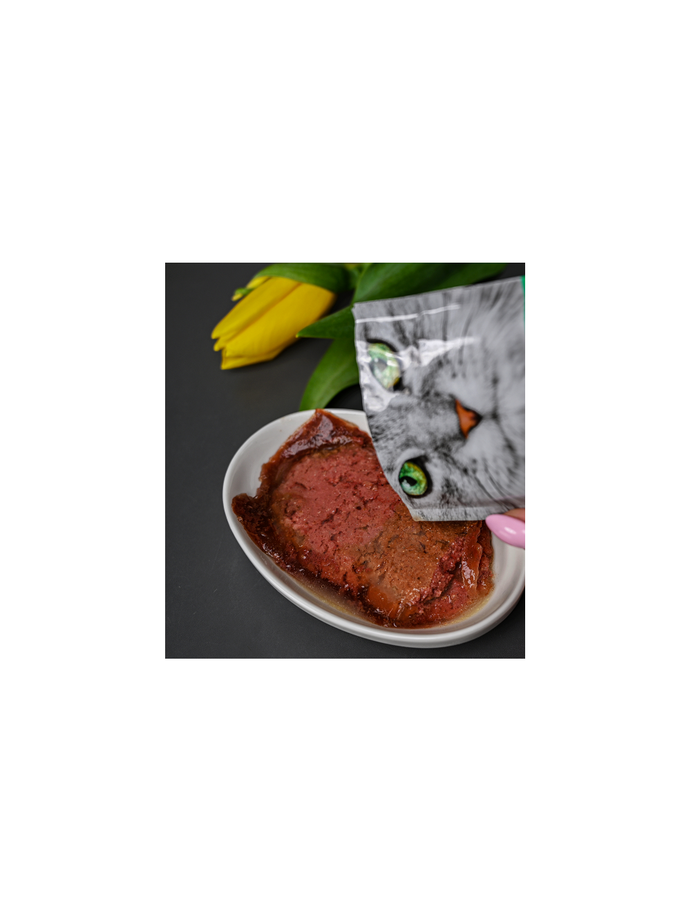 Josera Pate Kurczak ze szpinakiem 85g