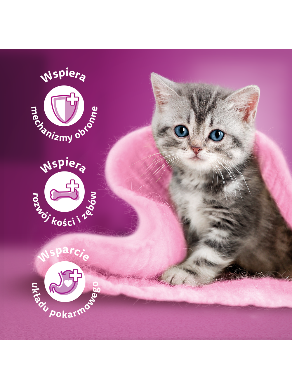 WHISKAS Junior 3x1,4 kg - sucha karma dla dla kociąt, z pysznym kurczakiem