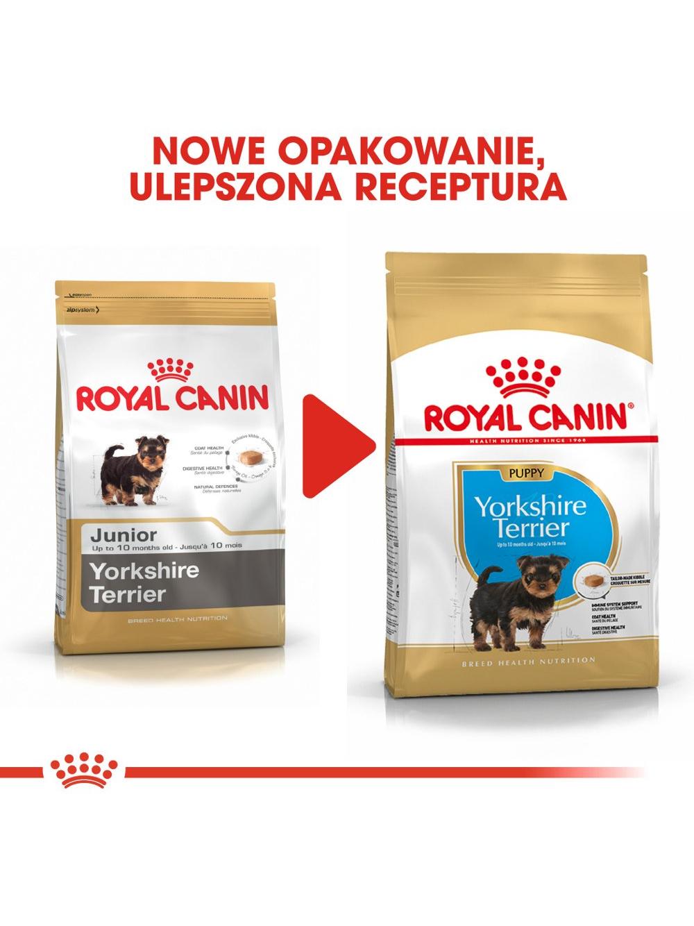 ROYAL CANIN Yorkshire Terrier Puppy 500g karma sucha dla szczeniąt do 10 miesiąca, rasy yorkshire terrier