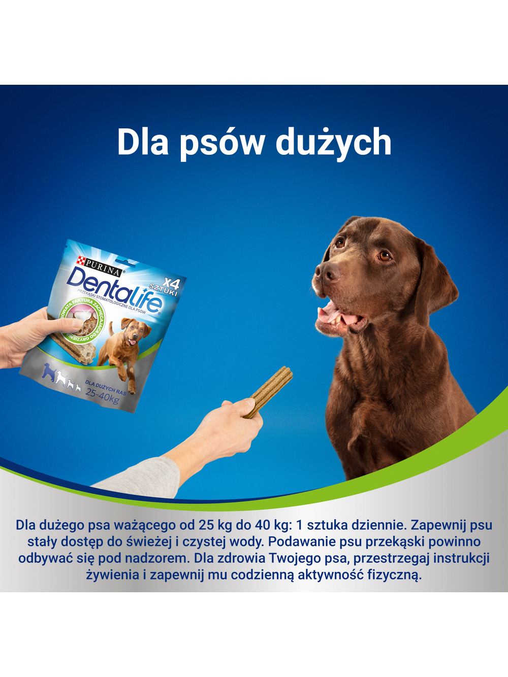 Purina Dentalife Large 142g