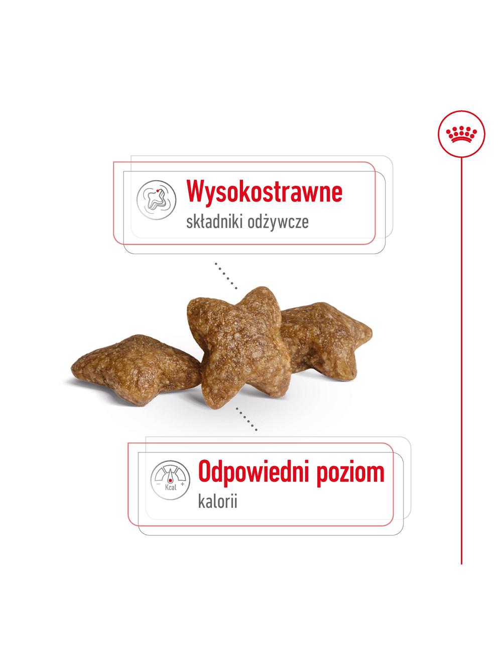 ROYAL CANIN Mini Adult 800g karma sucha dla psów dorosłych, ras małych + niespodzianka dla psa GRATIS