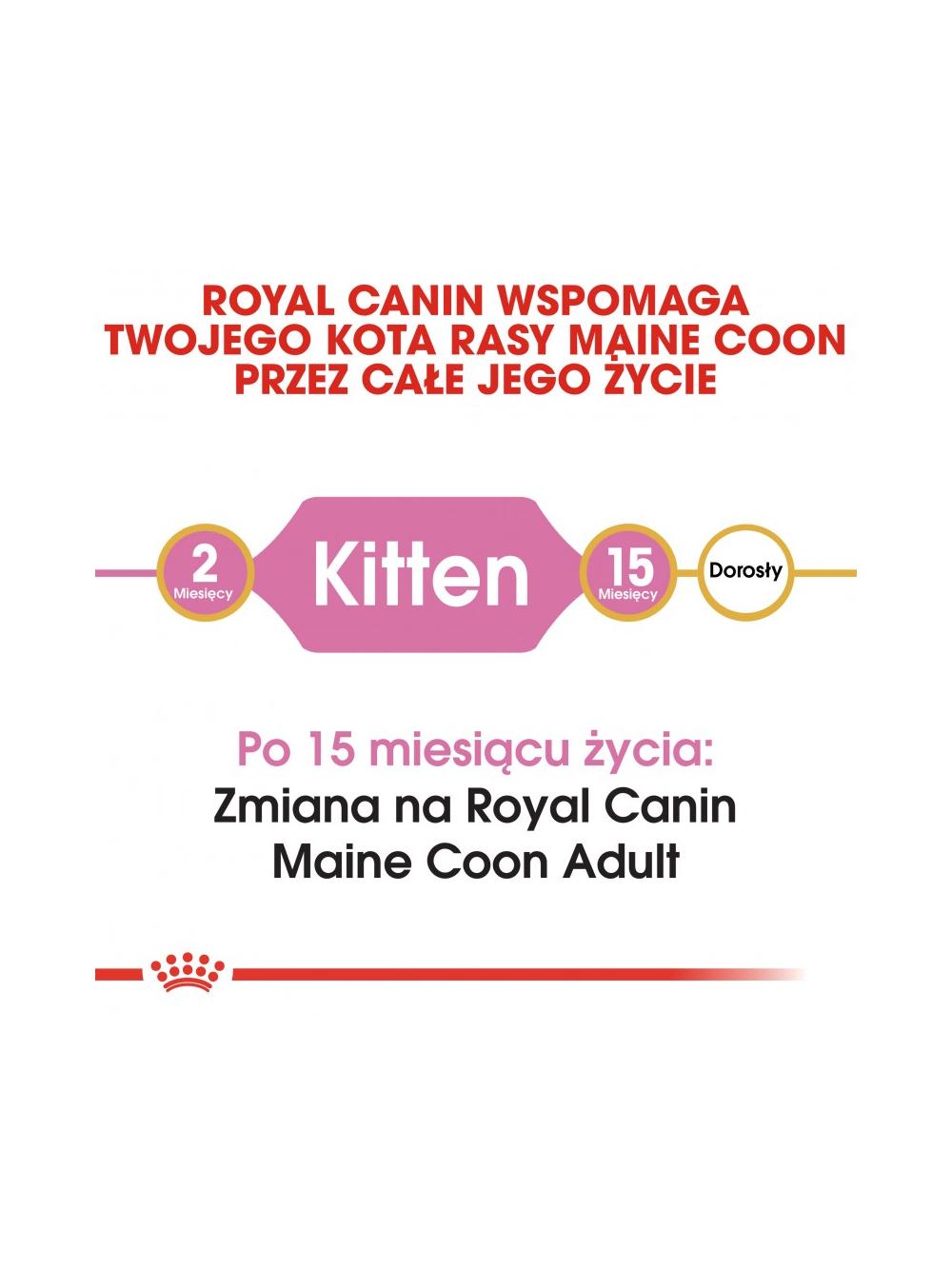 ROYAL CANIN Maine Coon Kitten 400g karma sucha dla kociąt, do 15 miesiąca, rasy maine coon