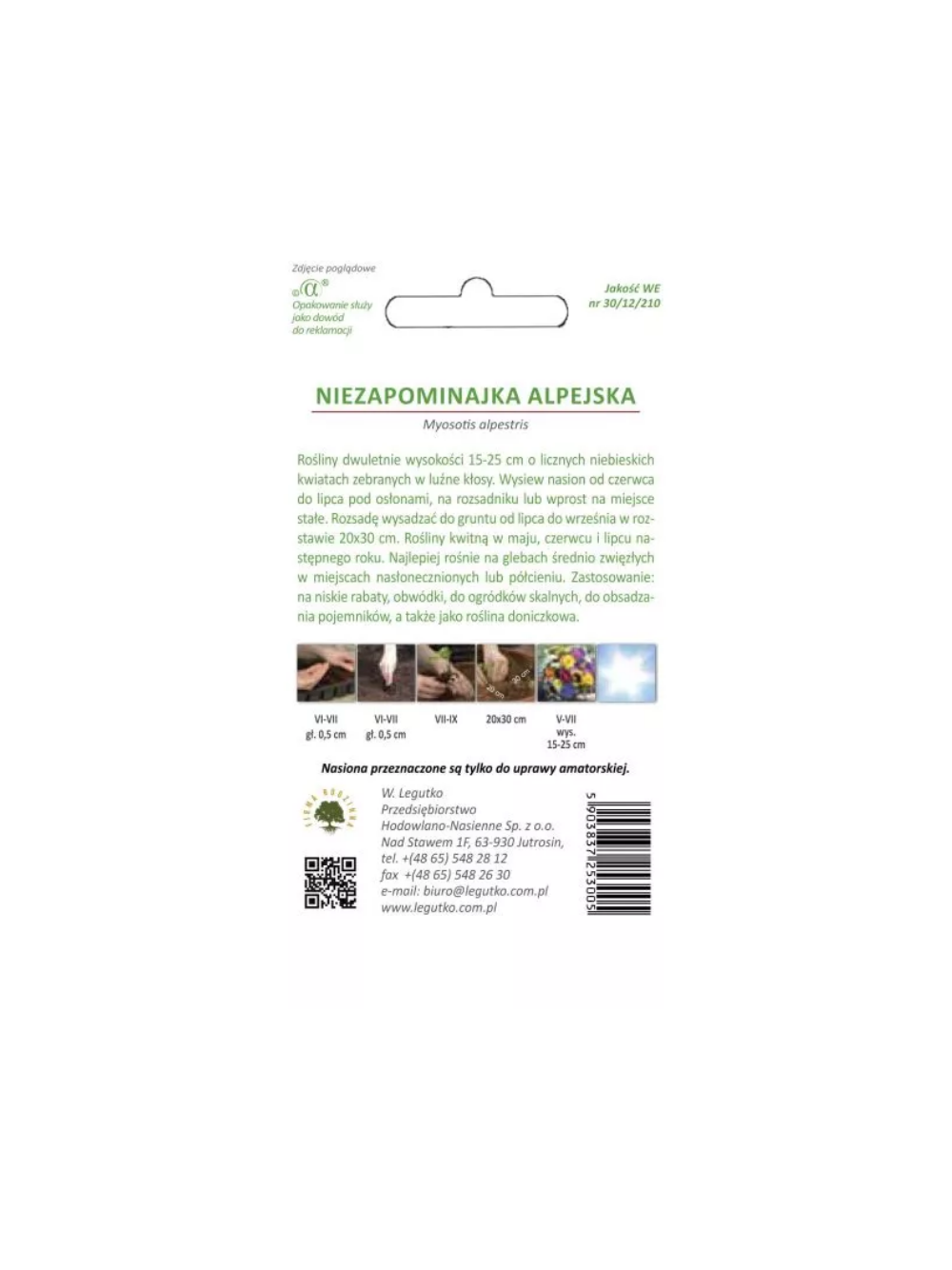 Niezapominajka alpejska - niebieska