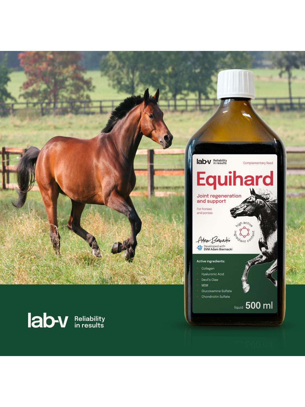 Lab-v Equihard – Kompleksowa formuła na zdrowe stawy dla koni i kucyków 2x500 ml