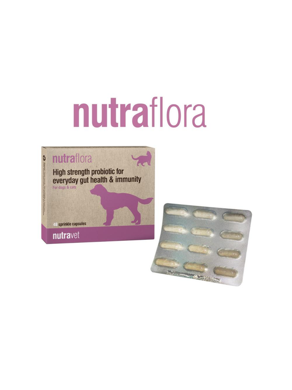 NUTRAVET Nutraflora For Dogs & Cats 48kaps - Probiotyk o wysokiej sile wspomagający codzienne zdrowie jelit i odporności