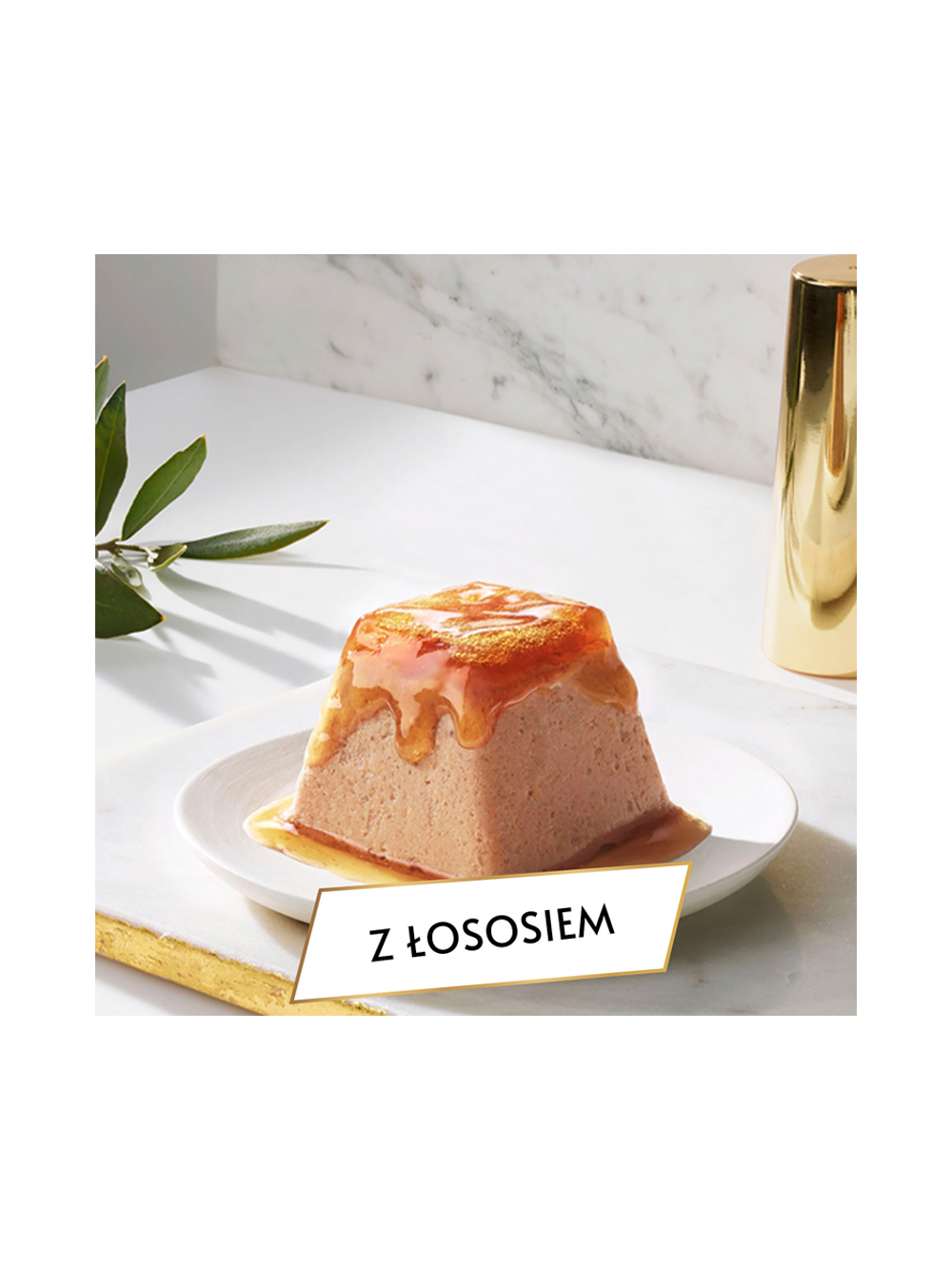 Gourmet Revelations Karma dla kotów mus z łososiem 8x57g (4x2x57g)