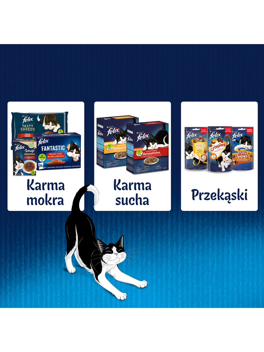FELIX Sensations Jellies Karma dla kotów wiejskie smaki w galaretce 4x85g