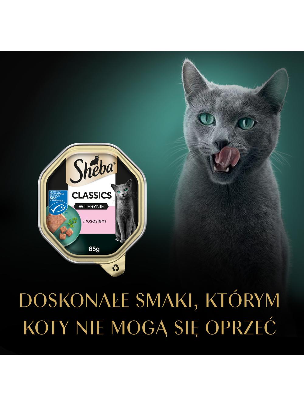SHEBA Classics tacka 22x85 g – mokra karma pełnoporcjowa dla dorosłych kotów, z łososiem, w terynie